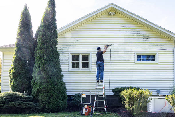 Best Local Pressure Washing Services  in West Van Lear, KY