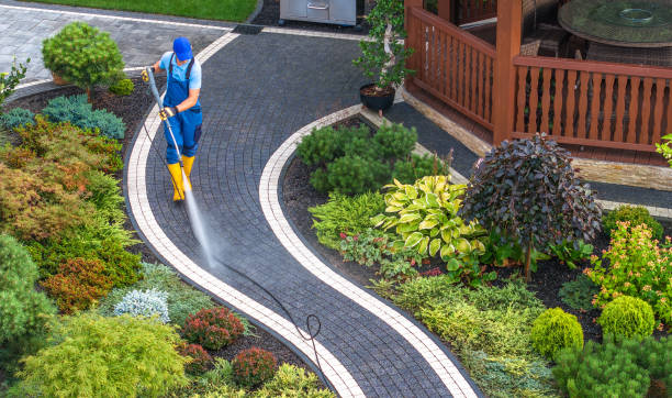 Best Affordable Pressure Washing  in West Van Lear, KY