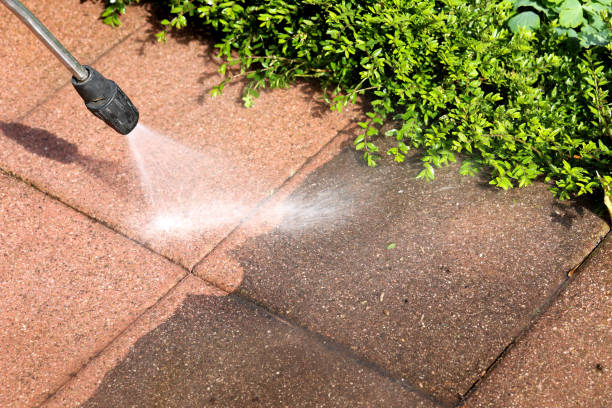 Roof Power Washing Services in West Van Lear, KY